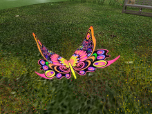 "Candy Dish" Roaming Butterfly DEMO