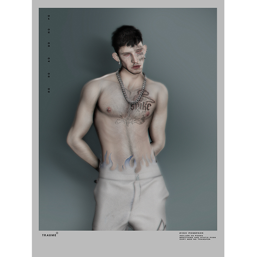 [Traume] Zvex_Posepack