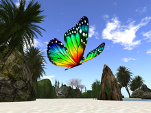 "Rainbow Flyer" Roaming Butterfly DEMO