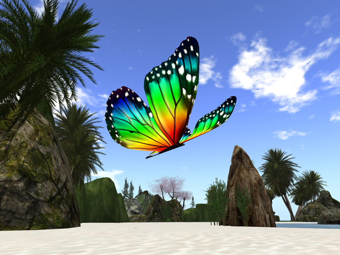"Rainbow Flyer" Roaming Butterfly