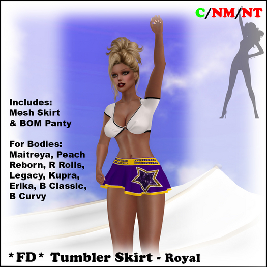 *FD* Tumbler Skirt Set [Boxed] Royal