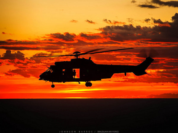 helicopter (2), privacy screen