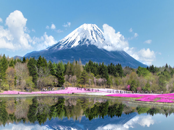snow capped mountain