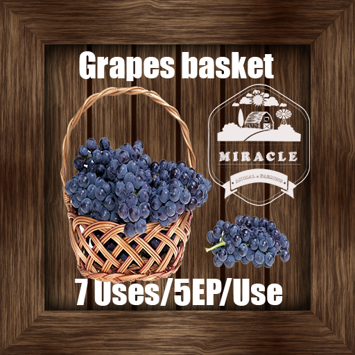 [4] DFS Grapes Basket