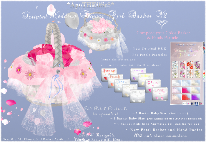  Script & HUD Wedding Flower Girl Basket V2