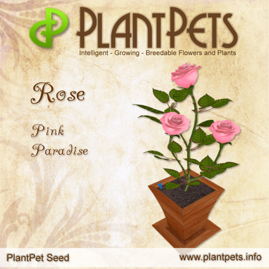 PlantPet Seed [Rose *Pink Paradise*]