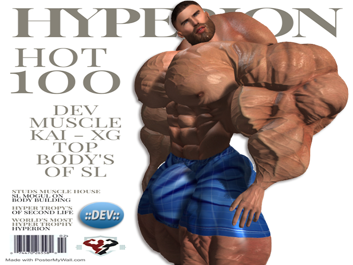 .::Hyperion::. - DEV - Navy Swimming Shorts Applier