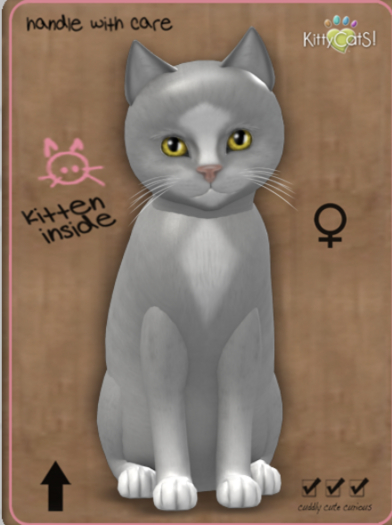 KittCatS Box - Genesis - Diamond II Female Teacup