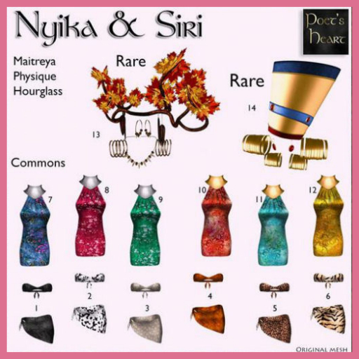 PH - Nyika&Siri #13 Nyika Accessory RARE