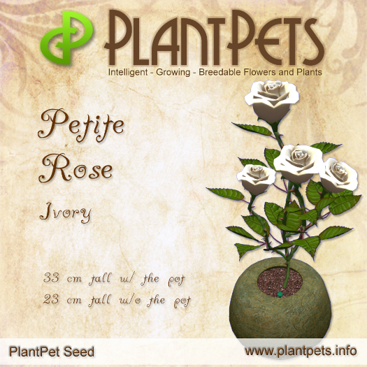 PlantPet Seed [Petite Rose *Ivory*] RARE