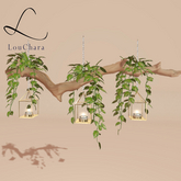 LouChara Noelle Dining Lights