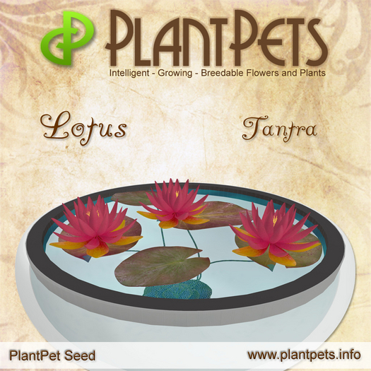 PlantPet Seed [Lotus *Tantra*] RARE