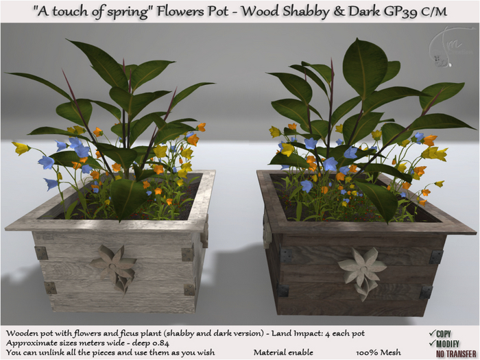 Pot Flowers A touch of spring 2 Types GP39