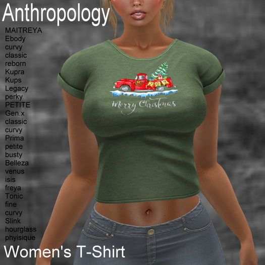 Merry Christmas Truck 01 Women's T-Shirt (WTTA X)