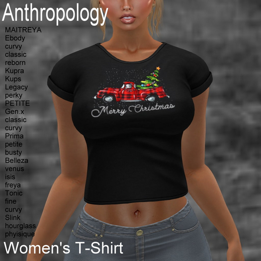 Merry Christmas Truck 02 Women's T-Shirt (WTTA X)