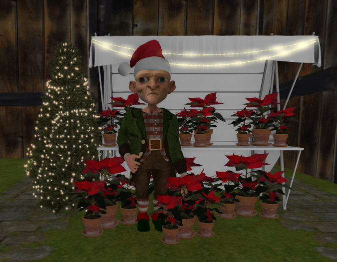 23 three poinsettia pots