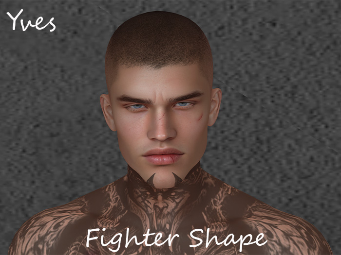 Fighter Shape Yves 3.1