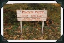 floorplan. wood road sign / pumpkin patch [box]