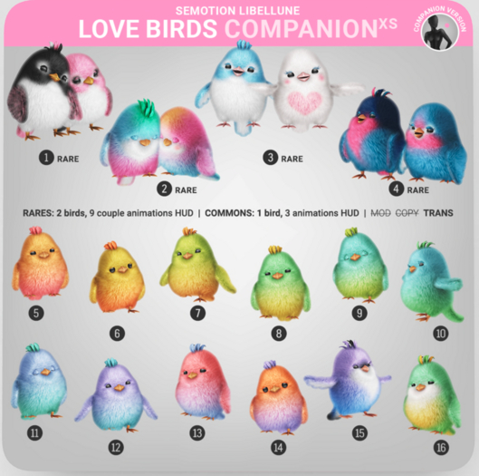 3. SEmotion Libellune Love Birds XS Companion RARE