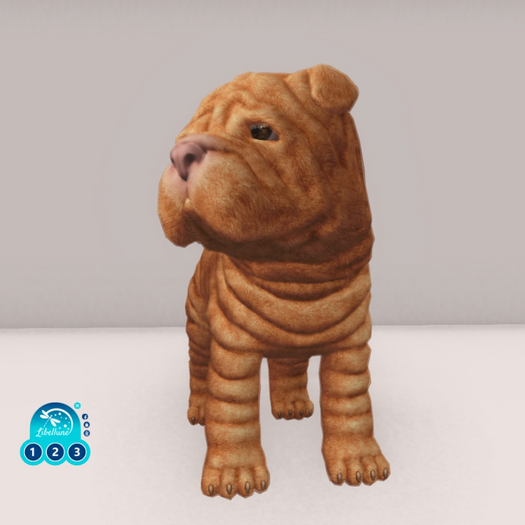 SEmotion Libellune Shar Pei Animesh #17