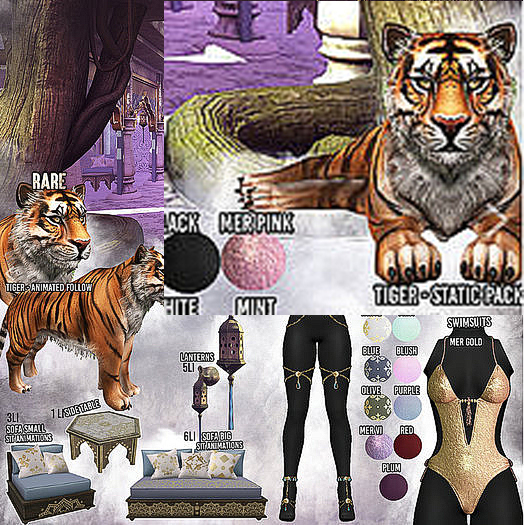 Birdy - Sahara - Tiger Static Pack 