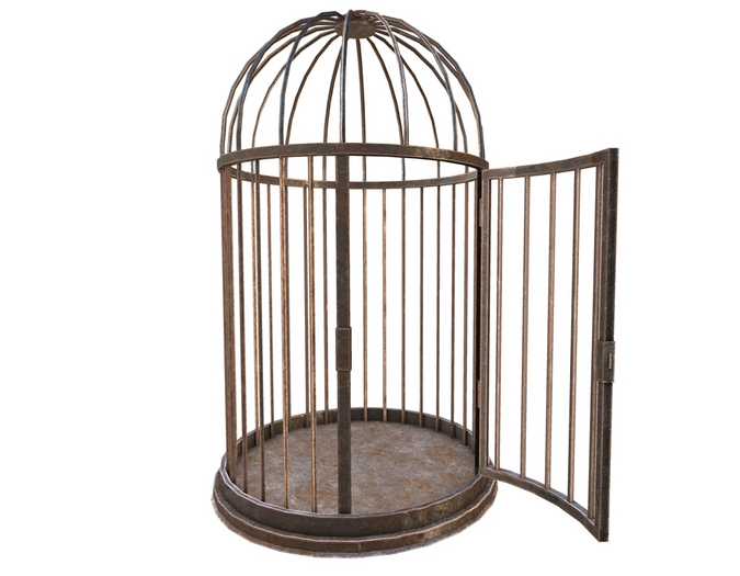 [Tia] Human Birdcage (Boxed)
