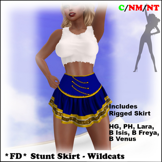 *FD* Stunt Skirt [BOXED] Wildcats