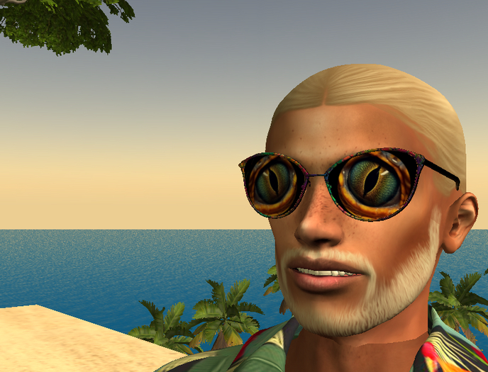 Heebee Jeebee Glasses