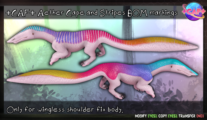 +CAF+ Aether Cape and stripes markings