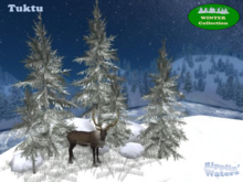 RW - Winter snow garden landscape reindeer *tuktu* c/m