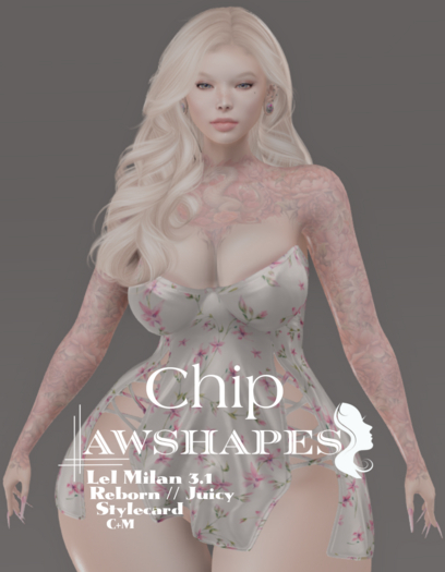 Chip