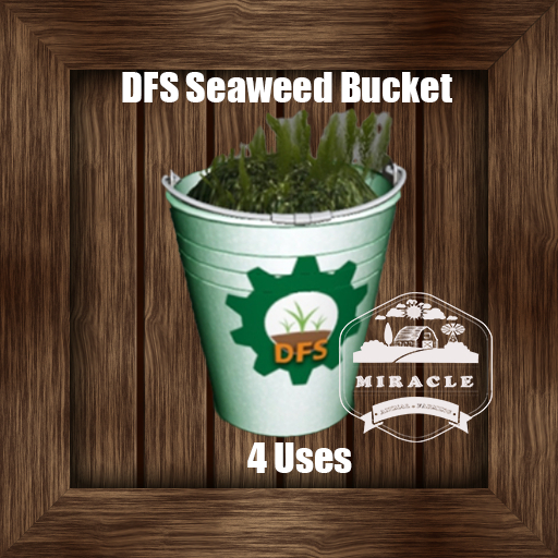 DFS Seaweed Bucket 