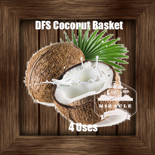 DFS Coconut Basket