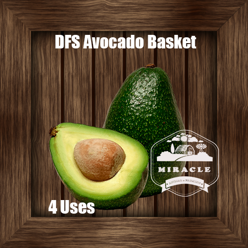 DFS Avocado Basket 