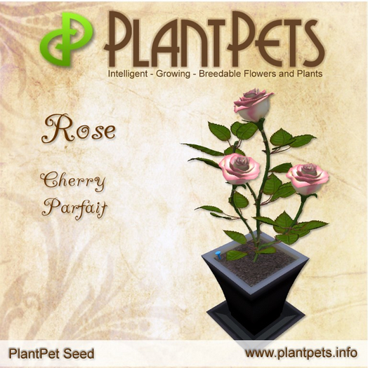 PlantPet Seed [Rose *Cherry Parfait*]