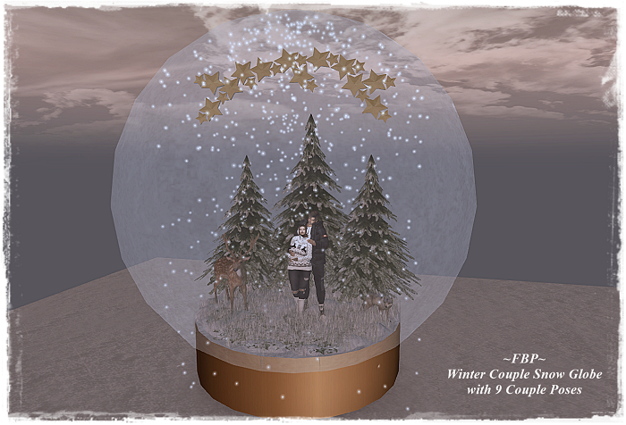 ~FBP~Winter Couple Snow Globe