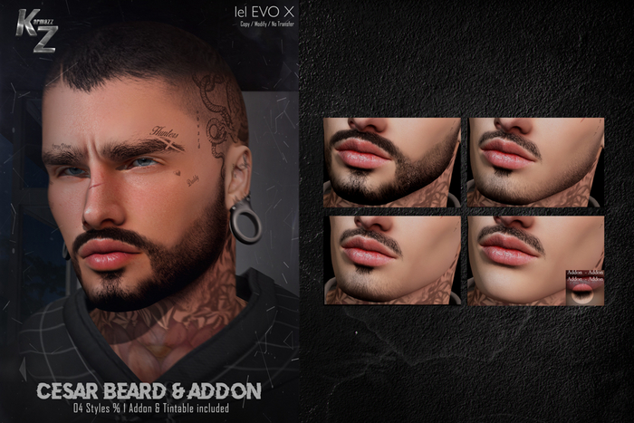 KARMAZZ Cesar Beard - 04 Styles & 1 Addon - EVOX