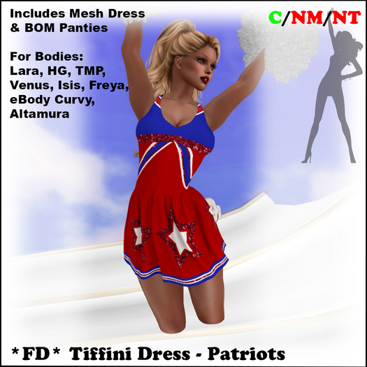 *FD* Tiffini Dress [Boxed] Patriots