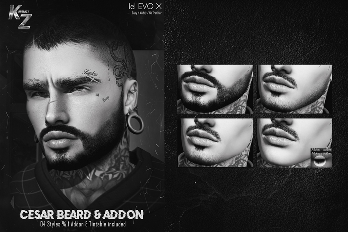 Cesar Beard Pack DEMO