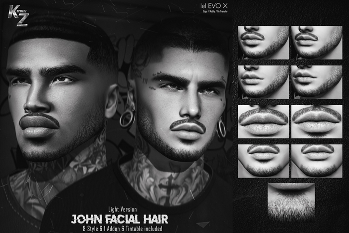 *DEMO John Facial Hair LIGHT VERSION