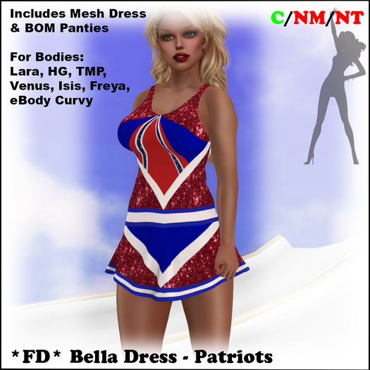 *FD* Bella Dress [Boxed] Patriots