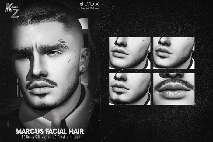 #DEMO Marcus Beard - 3 Styles & 1 mustache & tintable - EVOX