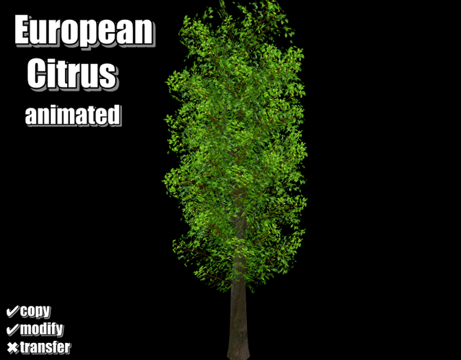 .:Bellart Studio:..European Citrus Tree Animated