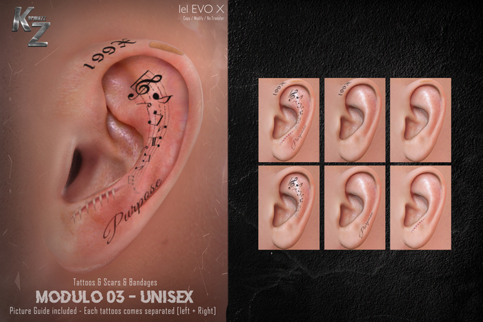 Modulo 03 - Tattoos & Scars & Bruises -  EVOX