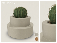 Mithral * Spined Barrel Cactus (Pack A)
