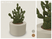 Mithral * Orange Opuntia Cactus Fat Pack