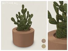 Mithral * Orange Opuntia Cactus (Pack B)