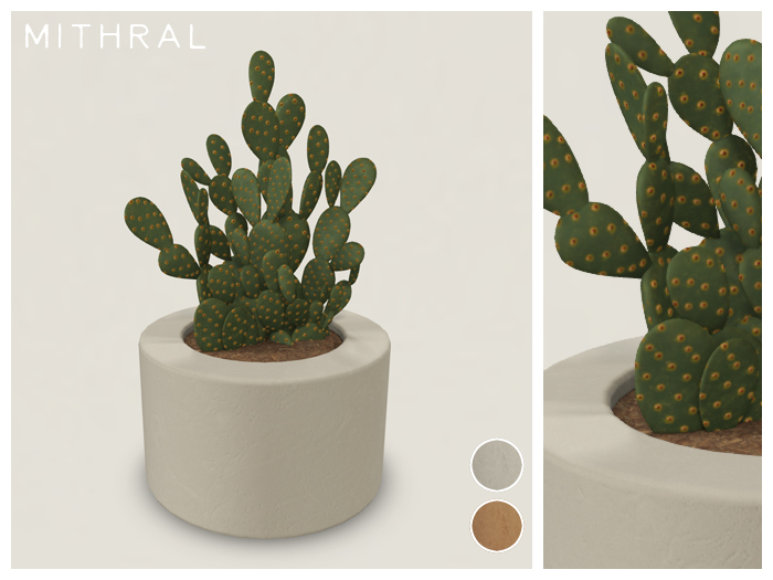 Mithral * Orange Opuntia Cactus (Pack A)