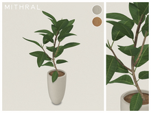 Mithral * Small Ficus Drupacea Fat Pack