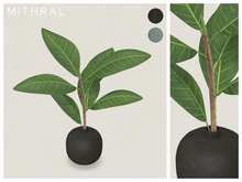 Mithral * Ficus Drupacea Vase (Pack C)